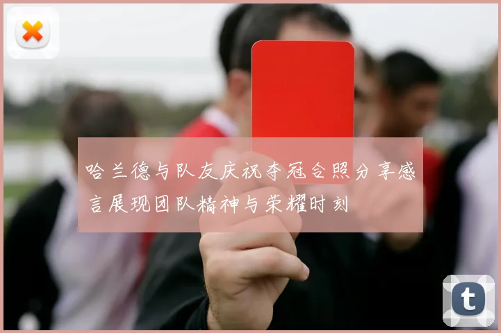哈兰德与队友庆祝夺冠合照分享感言展现团队精神与荣耀时刻